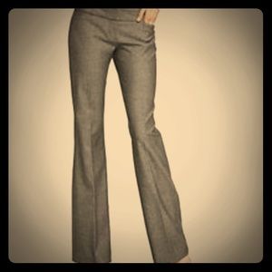 Express Design Studio Editors Slacks